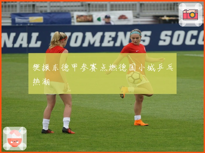 樊振东德甲参赛点燃德国小城乒乓热潮